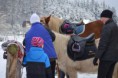 /album/pony-krouzek1/sedlani-2-jpg/